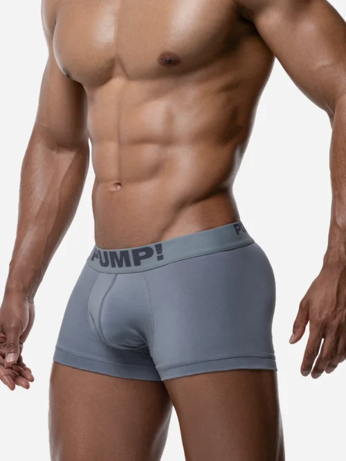 PUMP GRAY CLASSIC BOXER 2 Pump Underwear Colombia