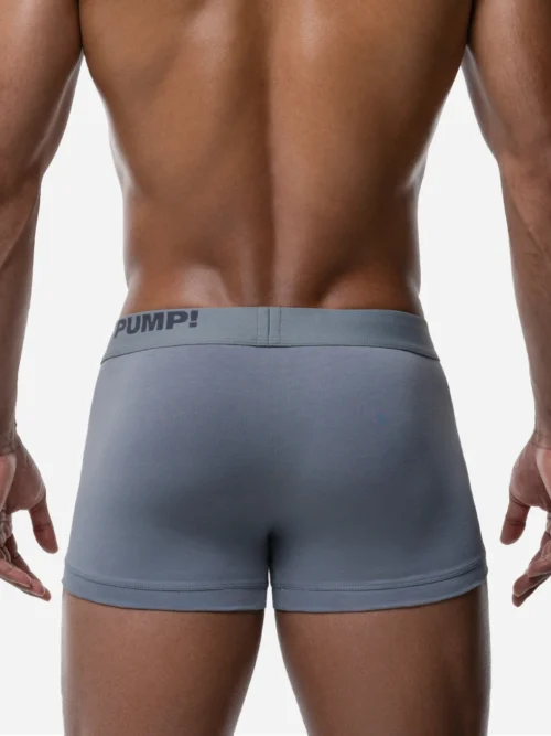 PUMP GRAY CLASSIC BOXER 3 Pump Underwear Colombia